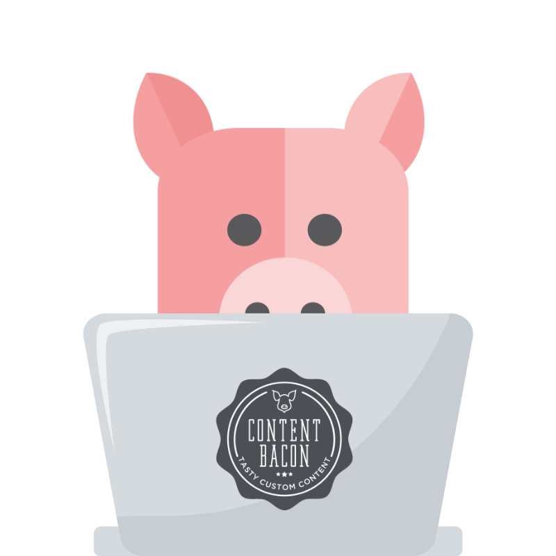 pig at computer