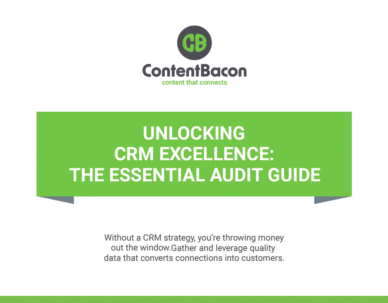 CRM audit guide GIF(1)-1